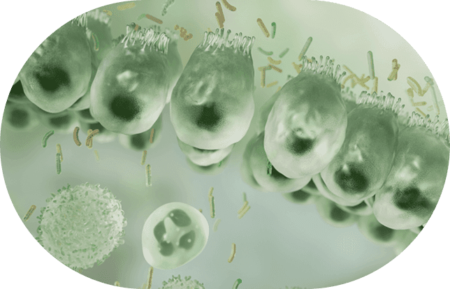 Microbial cells