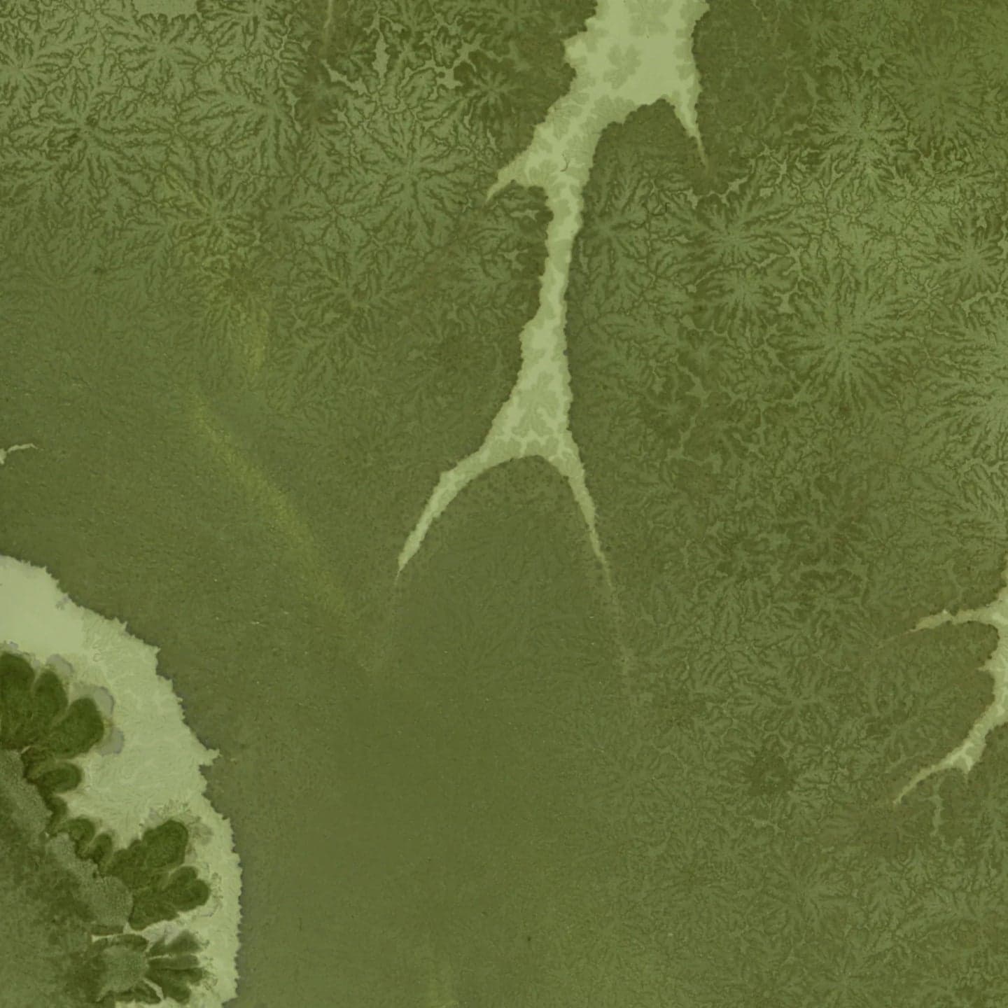 Close-up of green textured fabric with a floral pattern