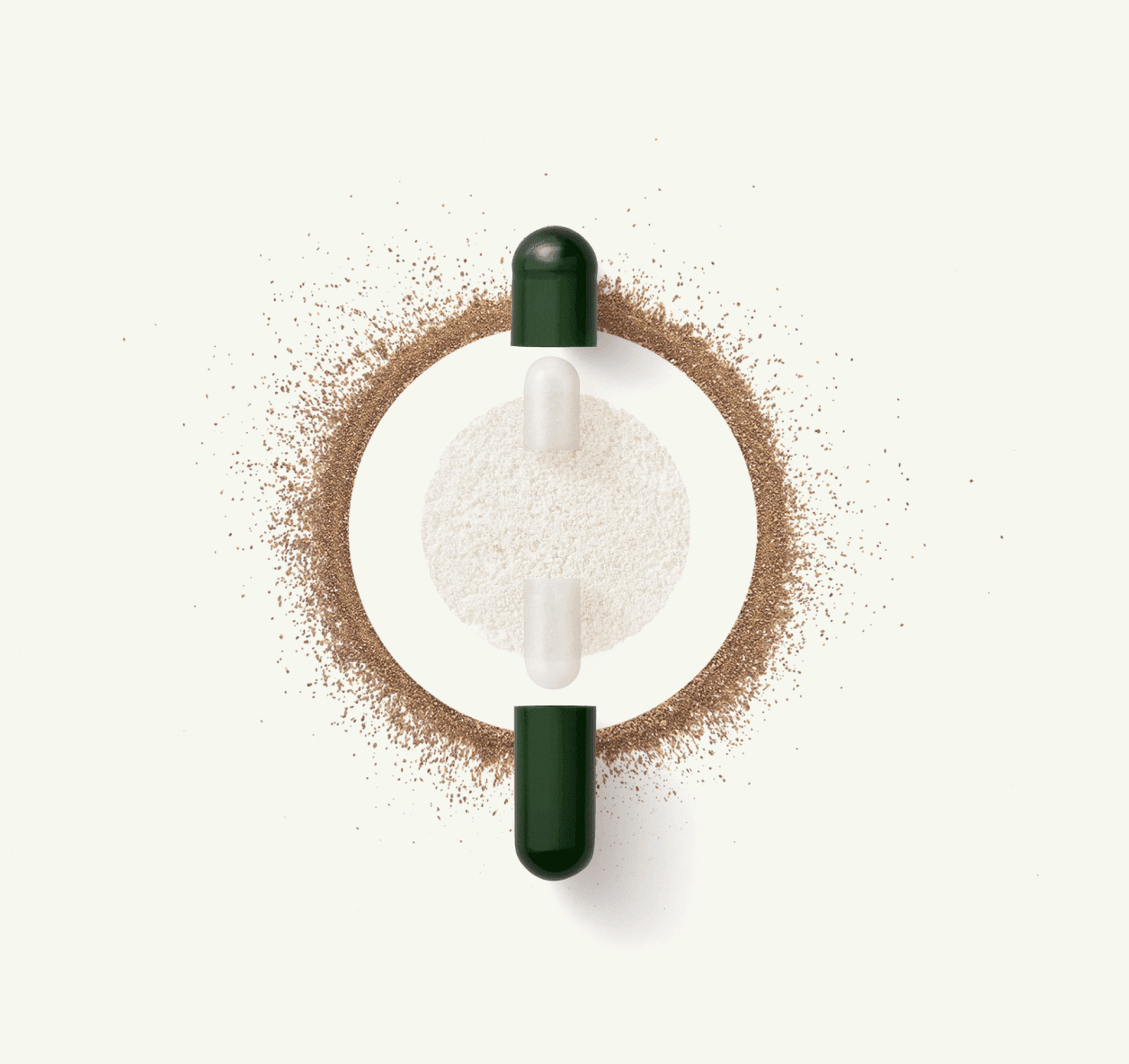 Illustration — DS-01