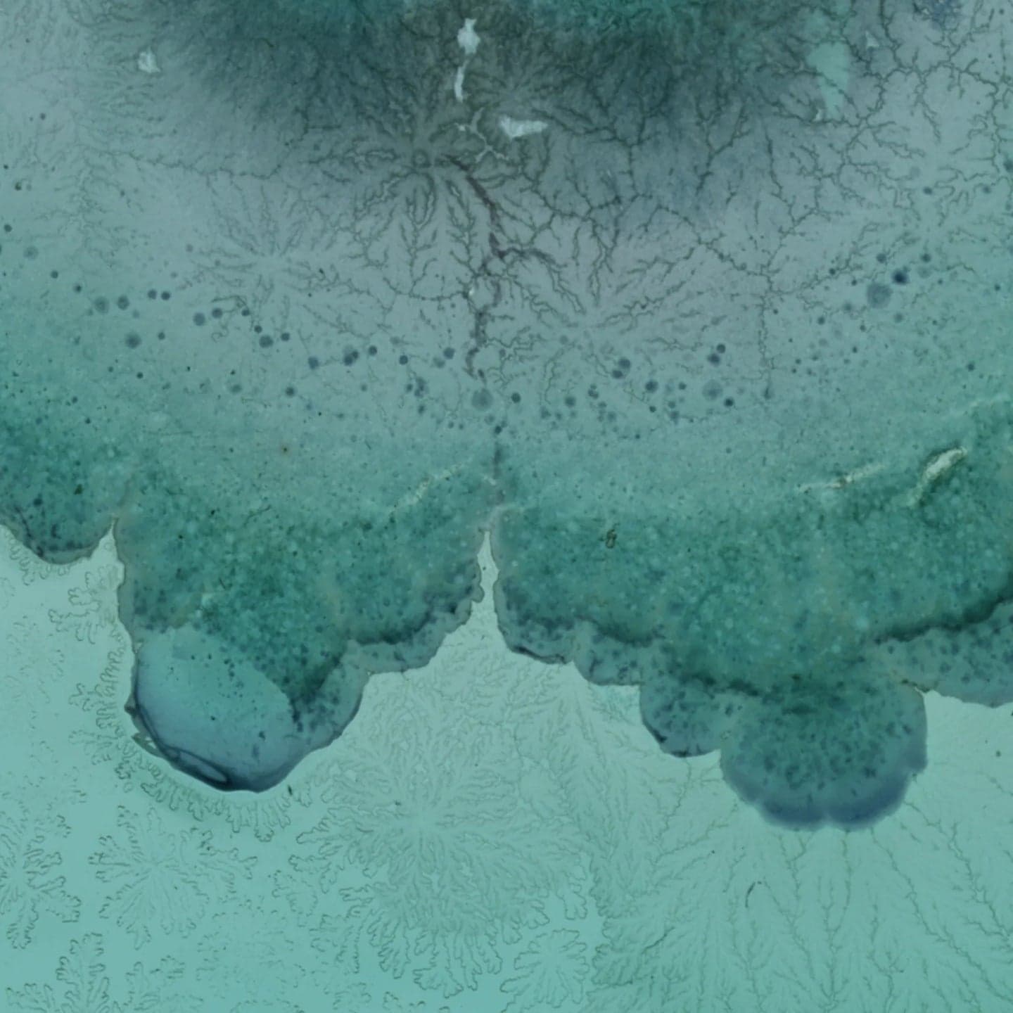 Close-up of textured teal surface with patterns