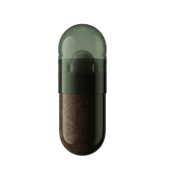 PM-02 capsule