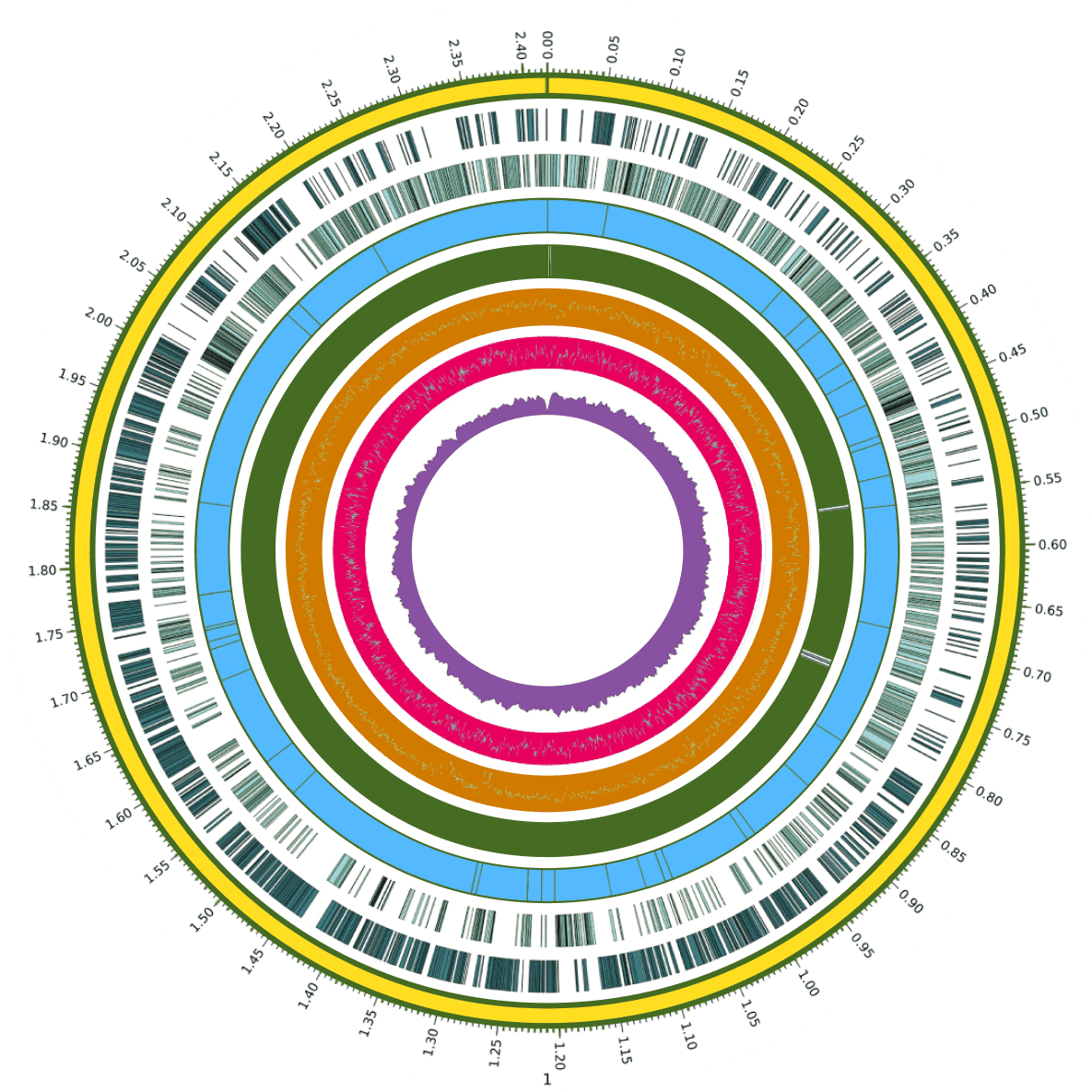 Whole-genome sequencing visualization