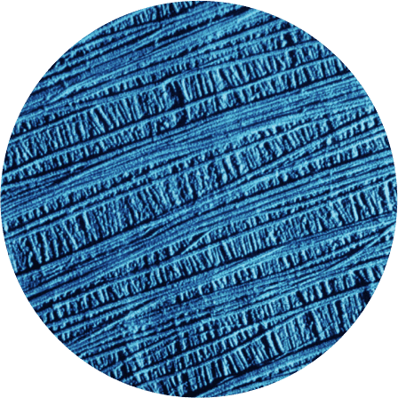 Biomaterials