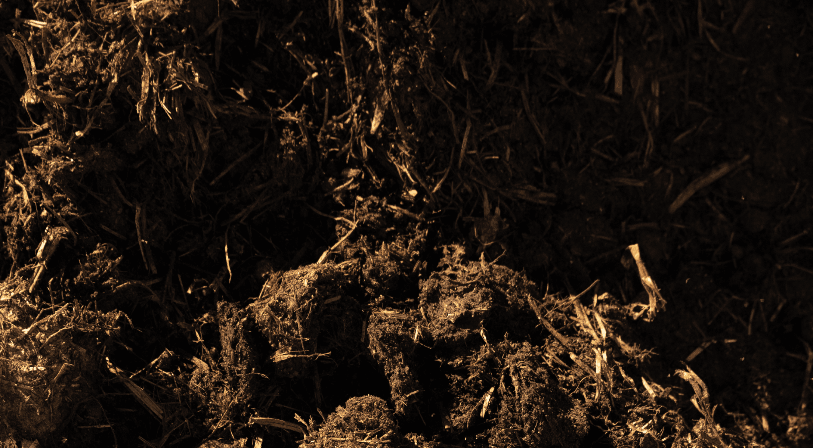 Soil