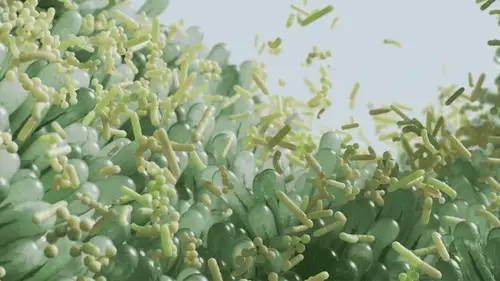 Microscopic beneficial bacteria